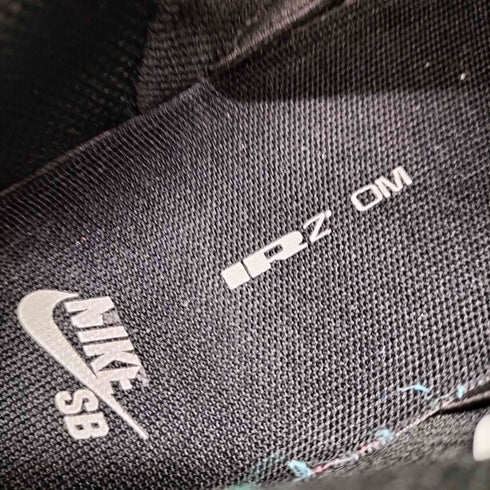 ナイキスケートボーディング NIKE SB 25SS Dunk Low Pro ダンク ロー プロ ローカット スニーカー メンズ JPN:26