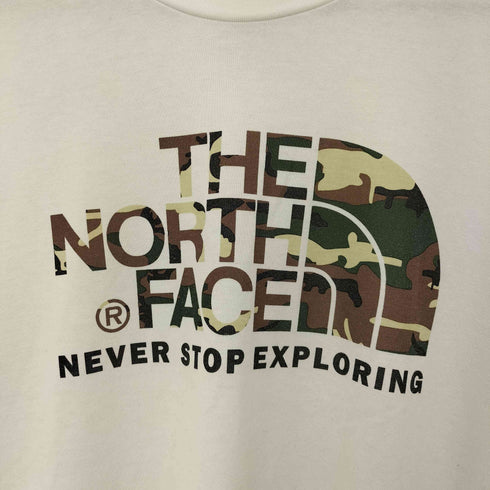 ザノースフェイス THE NORTH FACE カモフラージュ ロゴティー メンズ import:XL