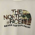 ザノースフェイス THE NORTH FACE カモフラージュ ロゴティー メンズ import:XL