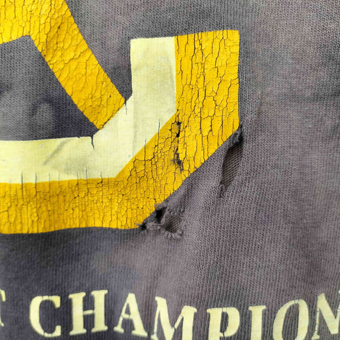 チャンピオン Champion 青タグ USA製 シングルステッチ ラバープリントTシャツ メンズ import:XL