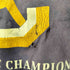 チャンピオン Champion 青タグ USA製 シングルステッチ ラバープリントTシャツ メンズ import:XL