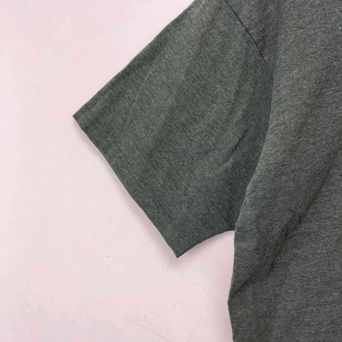 フルーツオブザルーム FRUIT OF THE LOOM 90-00S USA製 無地 クルーネックTシャツ メンズ import:L