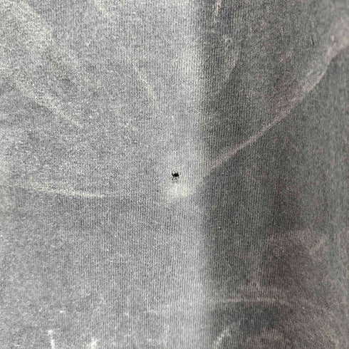 カーハート Carhartt Loose Fit S/S Tシャツ メンズ import:M