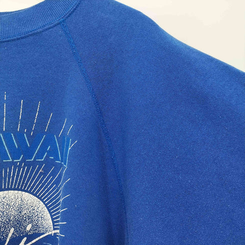 90s USA製 ULTRA SWEATSボディ ハワイ リゾート 発泡プリント ラグランスリーブ クルーネックスウェット メンズ import:XL