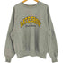 チャンピオン Champion 90-00s PREMIUM REVERSE WEAVE プレミアム リバースウィーブ TVプリント クルーネックスウェット メンズ import:M