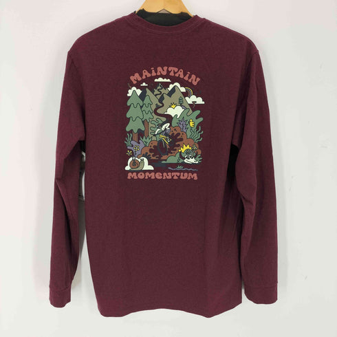 パタゴニア patagonia Maintain Momentum Pocket Responsibili-Tee メインテイン モメンタム ポケット レスポンシビリ ティー メンズ import:S