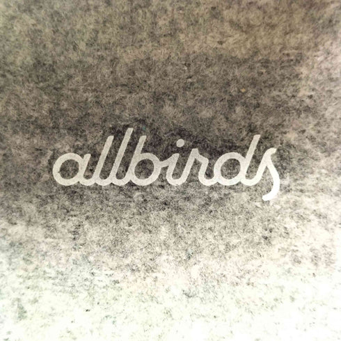 オールバーズ ALLBIRDS Tree Loungers スリッポン メンズ JPN:29