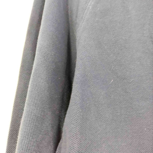 ラコステ LACOSTE フロントロゴ 鹿の子 プルオーバーパーカー メンズ import:S