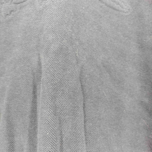 ラコステ LACOSTE フロントロゴ 鹿の子 プルオーバーパーカー メンズ import:S