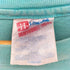 90S USA製 Hanes ボディノースカロライナ州 ニューノーバー群 Tシャツ メンズ
