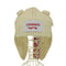 チャールズジェフリーラバーボーイ CHARLES JEFFREY LOVERBOY CHUNKY RABBIT BEANIE メンズ