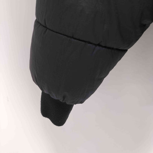 ザノースフェイス THE NORTH FACE ラークスパージャケット メンズ import:S