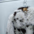 ザラ ZARA SHORT ANIMAL PRINT FAUX FUR JACKET ショート アニマル プリント フェイクファー ジャケット レディース import:S