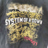 オールスポーツ ALL sport USA製 SYSTEM OF A DOWN バンドTシャツ メンズ JPN:M