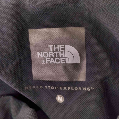 ザノースフェイス THE NORTH FACE Apex Light Hoodie Pull メンズ import:M