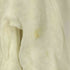 ザラ ZARA フロントプリント L/S Tシャツ レディース 13/14