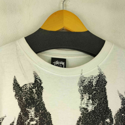 ステューシー Stussy 90S DOBERMAN FOG メンズ import:M