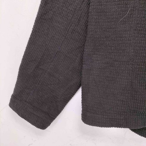ザノースフェイス THE NORTH FACE ハーフジップフリース メンズ import:L