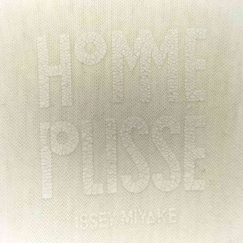 オムプリッセイッセイミヤケ HOMME PLISSE ISSEY MIYAKE RELEASE-T BASIC リラックス ベーシック 半袖 Tシャツ メンズ JPN:2