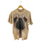 ザマウンテン the mountain 00S 犬 プリント Tシャツ メンズ import:L