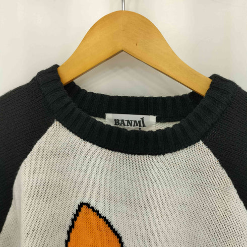 banmi キャラクター ラグラン ニット レディース import:L
