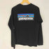 パタゴニア patagonia 20AW P-6ロゴ・レスポンシビリティー L/S プリント クルーネックTシャツ メンズ import:S