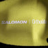 サロモン SALOMON SENSE RIDE 5 GORETEX トレイルランシューズ メンズ JPN:28.5