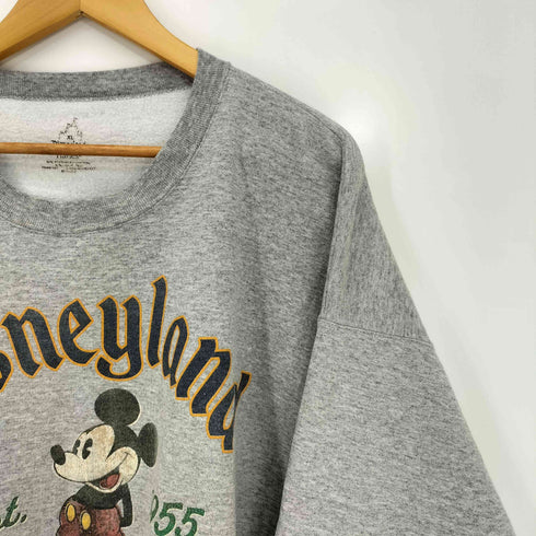 Hanes ボディ 裏起毛 キャラクタープリント クルーネックスウェット メンズ import:XL