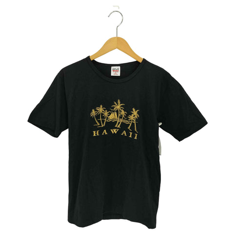 アンビル Anvil 90s USA製 シングルステッチ HAAII 半袖クルーネックTシャツ メンズ Ḿ