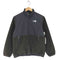 ザノースフェイス THE NORTH FACE Denali Jacket POLARTEC デナリ フリース ジャケット レディース L/G