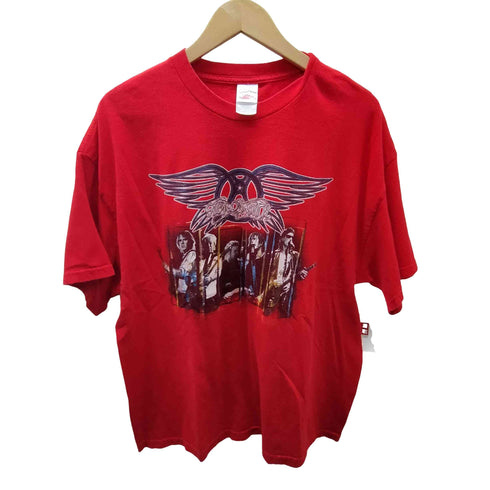 テネシーリバー TENNESSEE RIVER 00S ボディ メキシコ製 US ロック バンド 2005/2006 ライブツアー プリント S/S Tシャツ Y2K メンズ import:XL