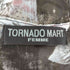 トルネードマートファム TORNADO MART FEMME バラ柄メッシュトップス セカンドスキン y2k レディース