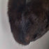 fur jacket ファージャケット レディース