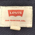 リーバイス Levis GRAPHIC PULLOVER HOODIE メンズ import:S