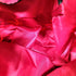プリーツプリーズイッセイミヤケ PLEATS PLEASE ISSEY MIYAKE LUCENT ルーセント 6×6 トート バッグ レディース