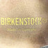 ビルケンシュトック BIRKENSTOCK PISA ピサ サンダル メンズ EUR:40