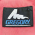 グレゴリー GREGORY 90s USA製 青文字タグ DAYPACK メンズ
