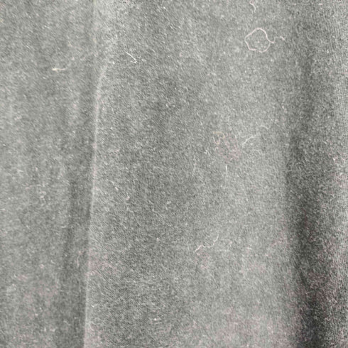 フレッシュサービス Fresh Service CORPORATE L/S TEE メンズ JPN:L