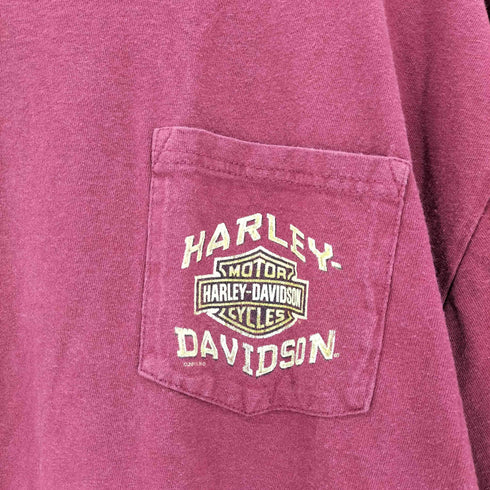 ハーレーダビッドソン HARLEY-DAVIDSON プリントクルーネック 半袖Tシャツ メンズ