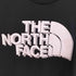 ザノースフェイス THE NORTH FACE ショートスリーブ ビッグロゴ Tシャツ メンズ import:S