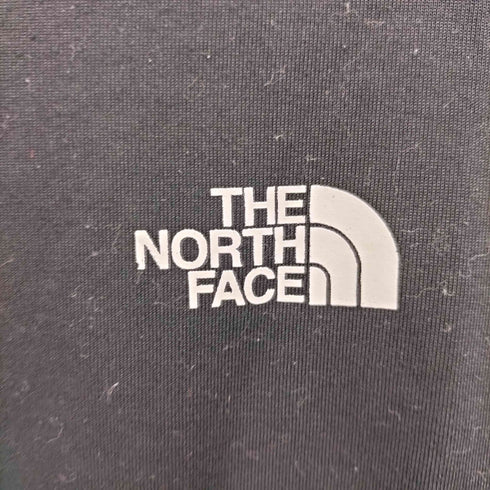 ザノースフェイス THE NORTH FACE ショートスリーブ ビッグロゴ Tシャツ メンズ import:S