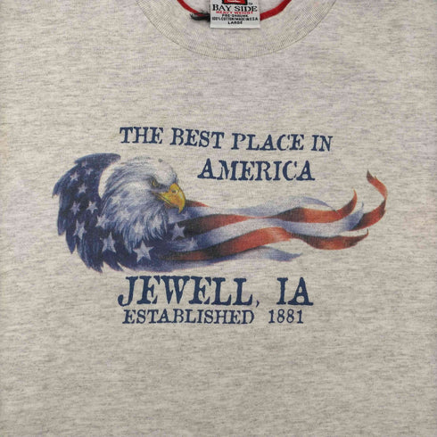ベイサイド BAYSIDE 90S USA製 HEAVY WEIGHT JEWEL IA ホーク 鷹 プリント ネックレイヤー Tシャツ メンズ import:L
