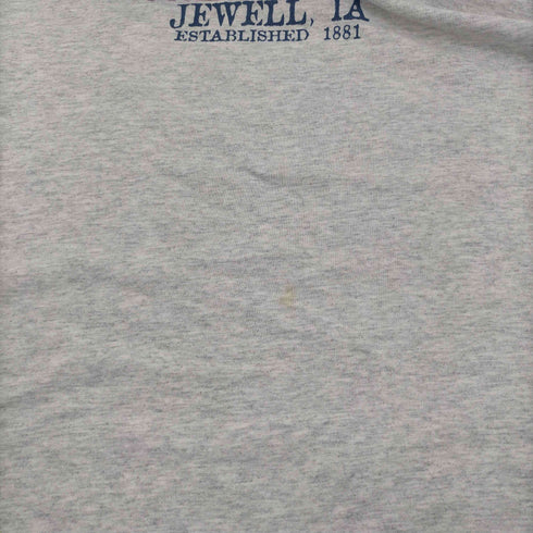 ベイサイド BAYSIDE 90S USA製 HEAVY WEIGHT JEWEL IA ホーク 鷹 プリント ネックレイヤー Tシャツ メンズ import:L