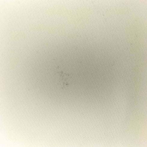 ハレ HARE トロミシシュウシャツ メンズ JPN:S