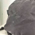 ザノースフェイス THE NORTH FACE BIG SHOT ビッグショット バックパック メンズ