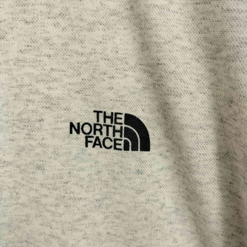 ザノースフェイス THE NORTH FACE ロゴプリント S/S リンガーライン ラグランTシャツ メンズ import:M