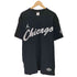 ジョーダンブランド JORDAN BRAND CHICAGO クルーネックTシャツ メンズ JPN:XL