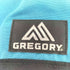 グレゴリー GREGORY チンチバッグ メンズ