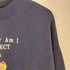 フルーツオブザルーム FRUIT OF THE LOOM 90S 刺繍 ネコ クルーネックスウェット メンズ import:XL