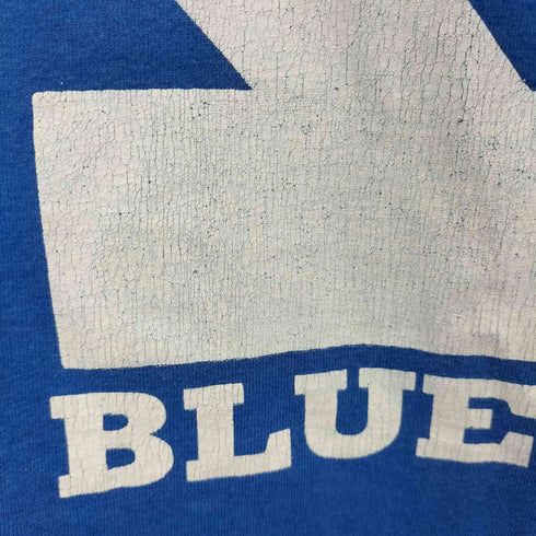 フルーツオブザルーム FRUIT OF THE LOOM 90s USA製 シングルステッチ ビッグロゴプリント クルーネック ショートスリーブ Tシャツ メンズ import:L